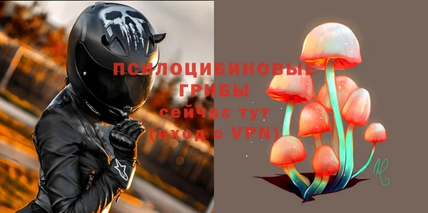 метадон Арсеньев