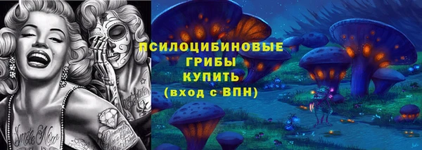 метадон Арсеньев