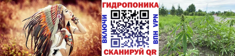 Марихуана OG Kush  где купить наркоту  Черняховск 